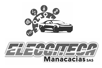Elecgiteca Manacacias SAS