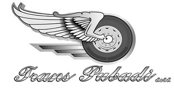 Logo Transportes PUBADI